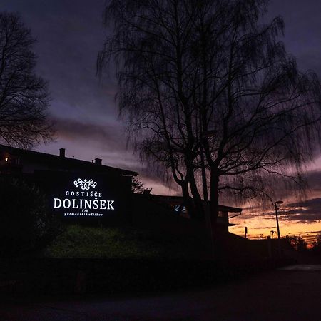 Guesthouse Dolinsek Sevnica Dış mekan fotoğraf