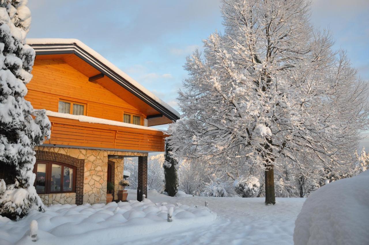 Guesthouse Dolinsek Sevnica Dış mekan fotoğraf