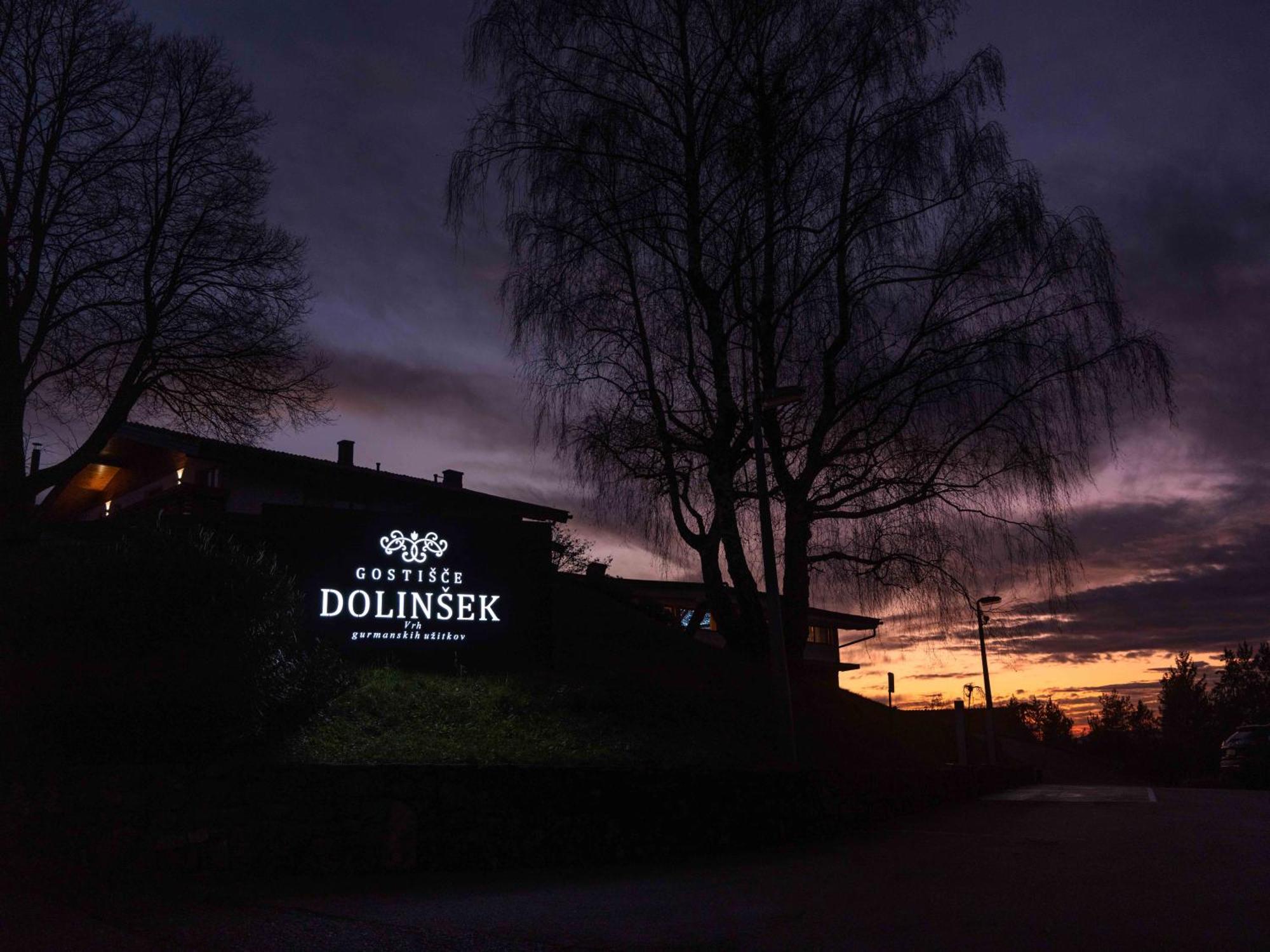 Guesthouse Dolinsek Sevnica Dış mekan fotoğraf